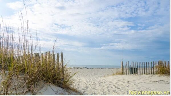 Hilton Head Island shark attacks - Beach closed right after the incident