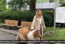 Japanese man Collie dog costume