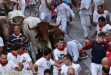 Vacas del Video Encierro Hoy San Fermin