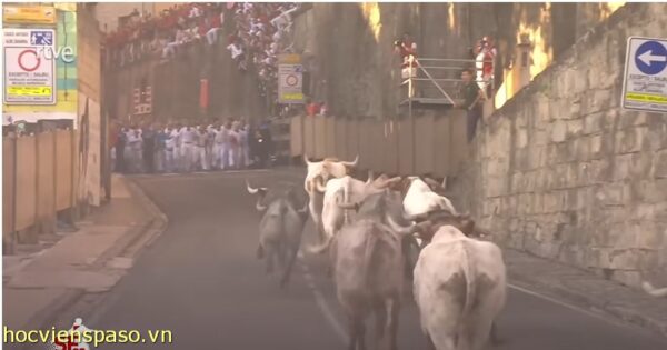 Video Encierro San Fermín