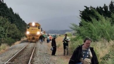 train crash wairarapa