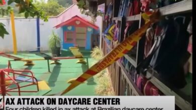 Man With Axe Attacks Daycare Echte Video