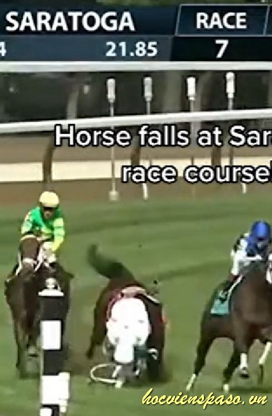 Saratoga horse accident today video