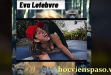 Lefebvre Historia Real Video