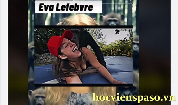 Lefebvre Historia Real Video