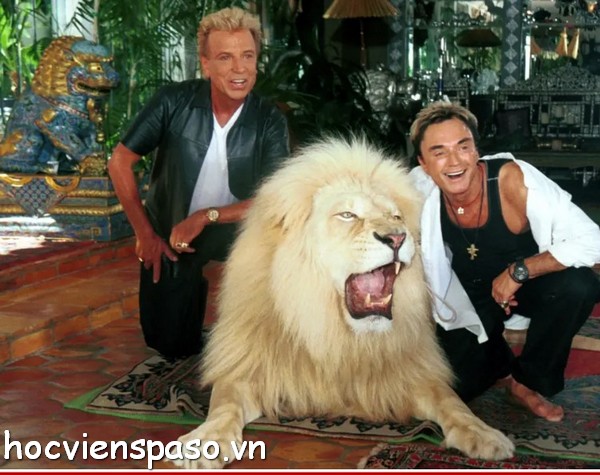 Siegfried and Roy tiger attack video origninal