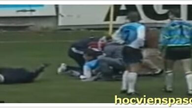 2013 Brazilian Referee Incident