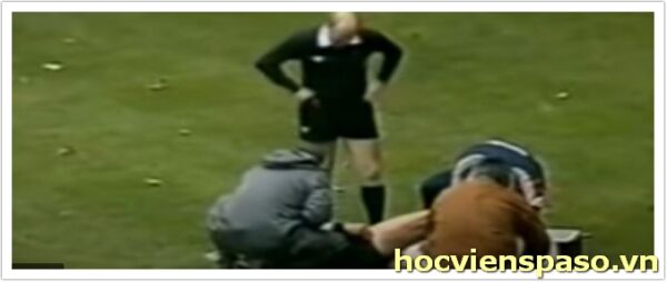 2013 Brazilian Referee Incident